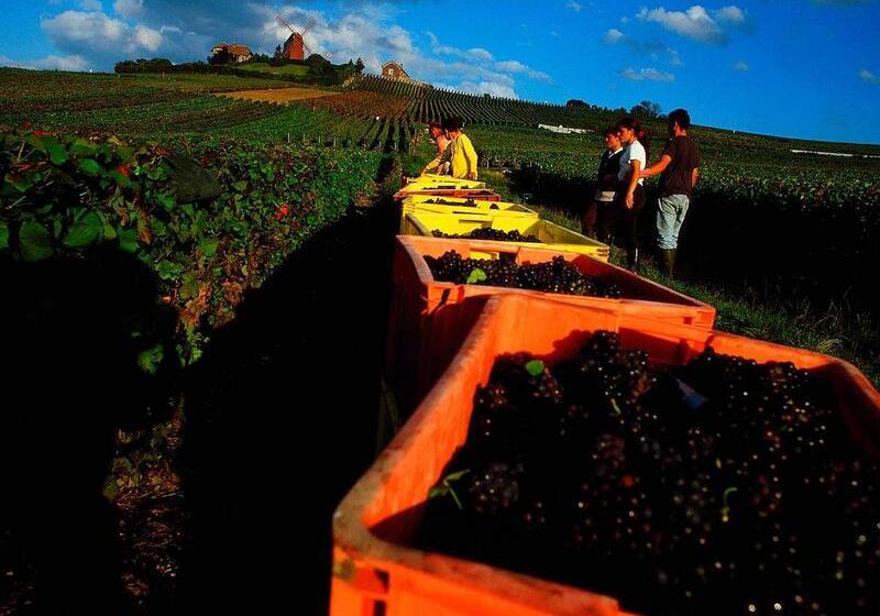 酒店 Ibis Epernay Centre Ville