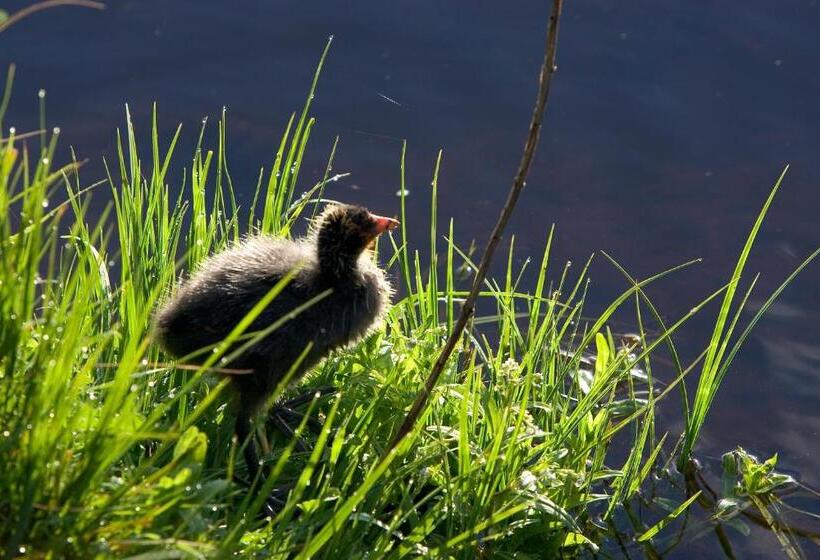 ホテル Ibis Mulhouse Centre Filature