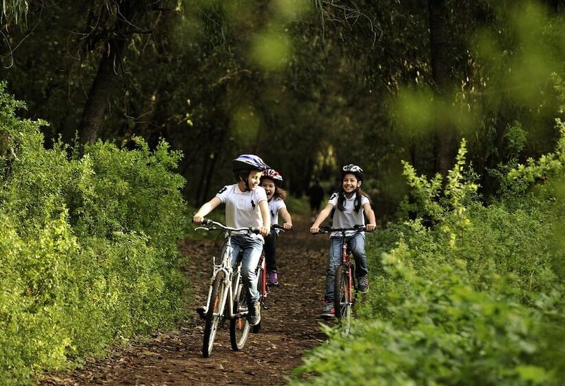 호텔 Ibis Mulhouse Ile Napoleon