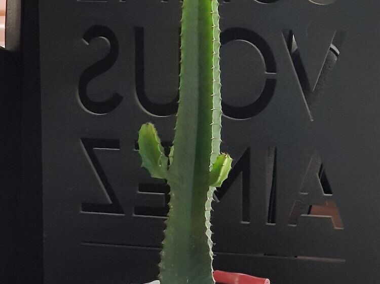 B&b Hotel Niort Sud Venise Verte