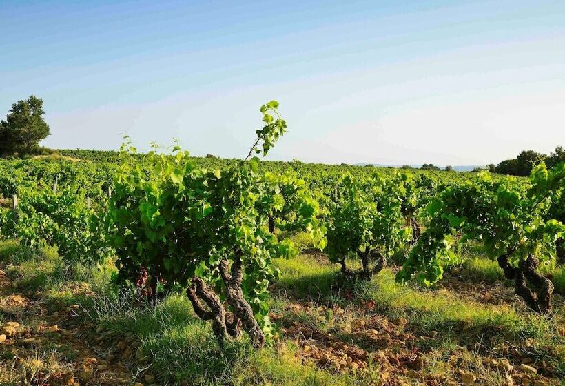 Отель Ibis Orange Centre