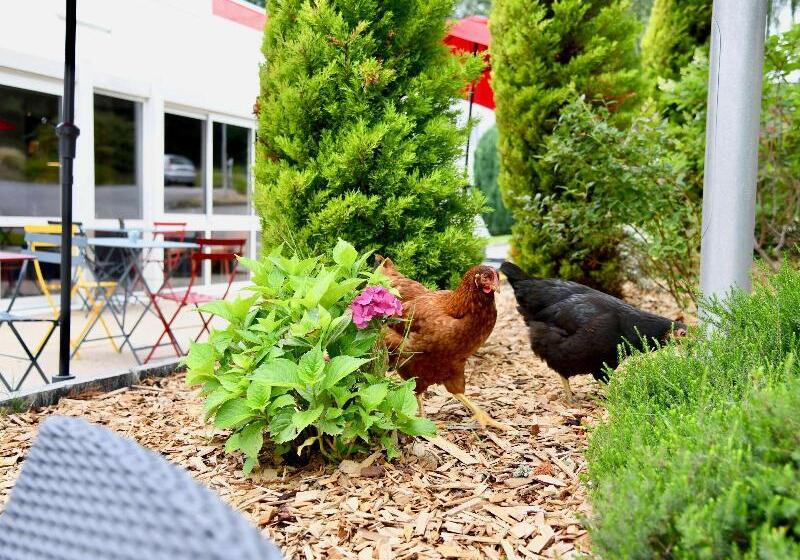 ホテル Ibis Quimper