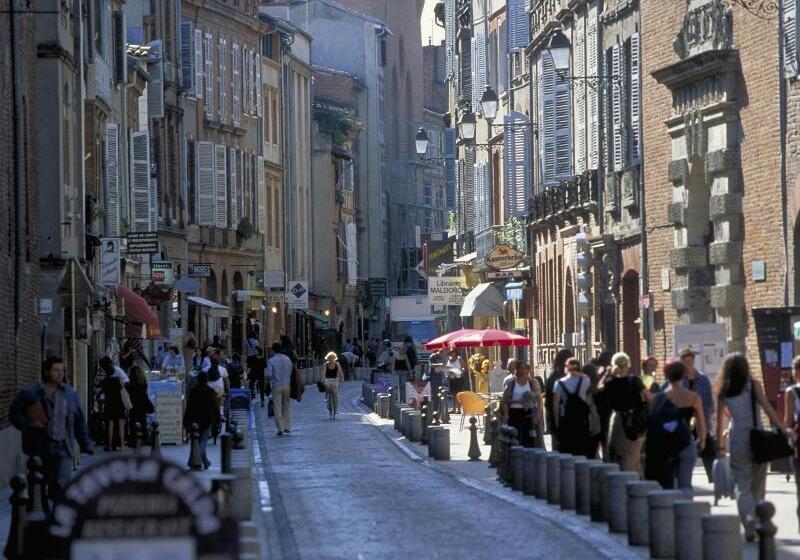 호텔 Ibis Toulouse Aeroport