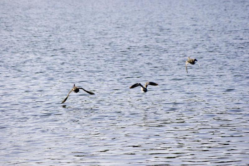 فندق Ibis Tours Sud