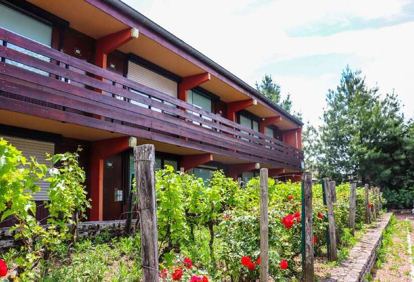 Отель Kyriad Direct Roanne