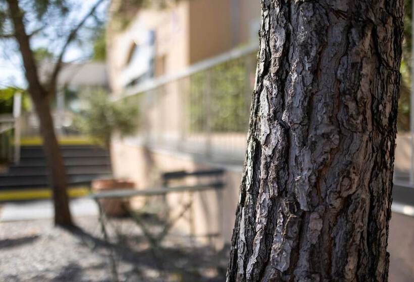 酒店 Hôtel Restaurant Kyriad Fréjus