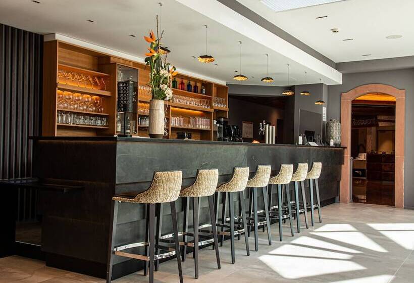 בית מלון כפרי L Europe