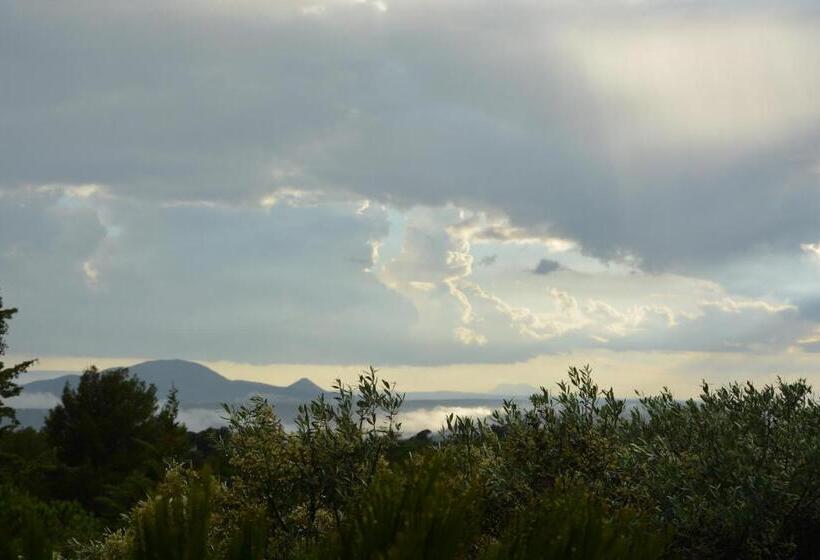 호텔 La Petite Auberge