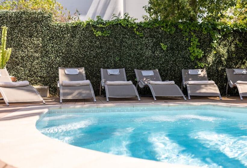 فندق Hôtel Petit Palais