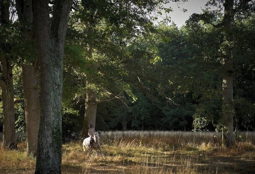 فندق Les Sources De Cheverny