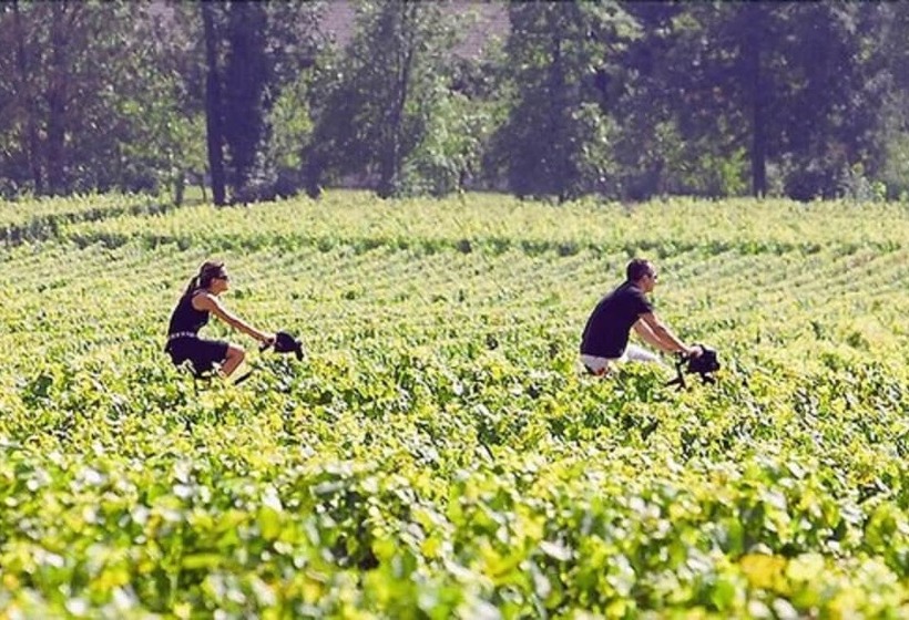 فندق Les Sources De Cheverny