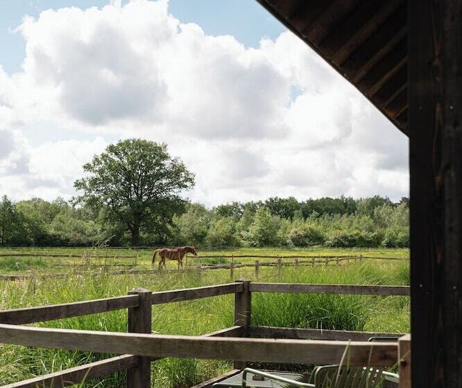 فندق Les Sources De Cheverny