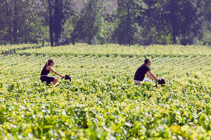 فندق Les Sources De Cheverny