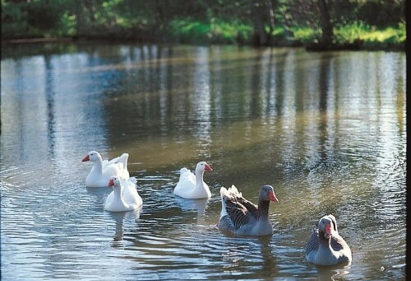 Maison Jenny Hotel Restaurant & Spa