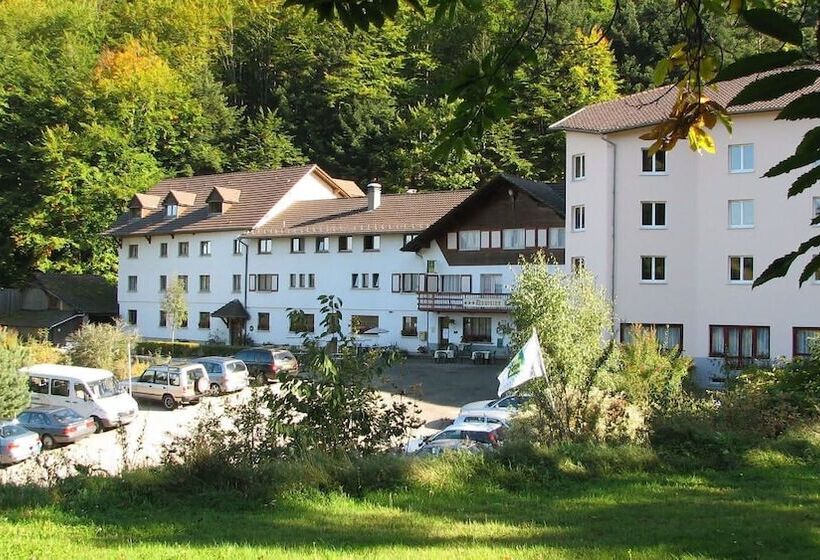 ホテル Spa & Restaurant Logis Domaine Langmatt