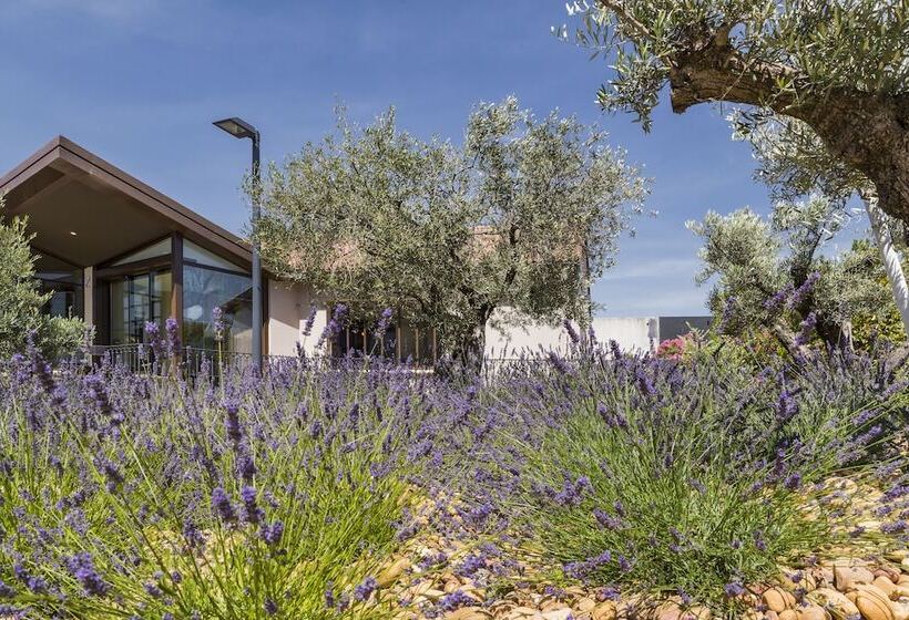 בית מלון כפרי Terre De Provence Hôtel & Spa