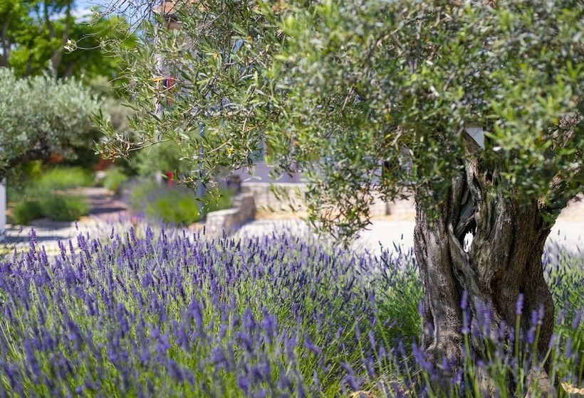 בית מלון כפרי Terre De Provence Hôtel & Spa