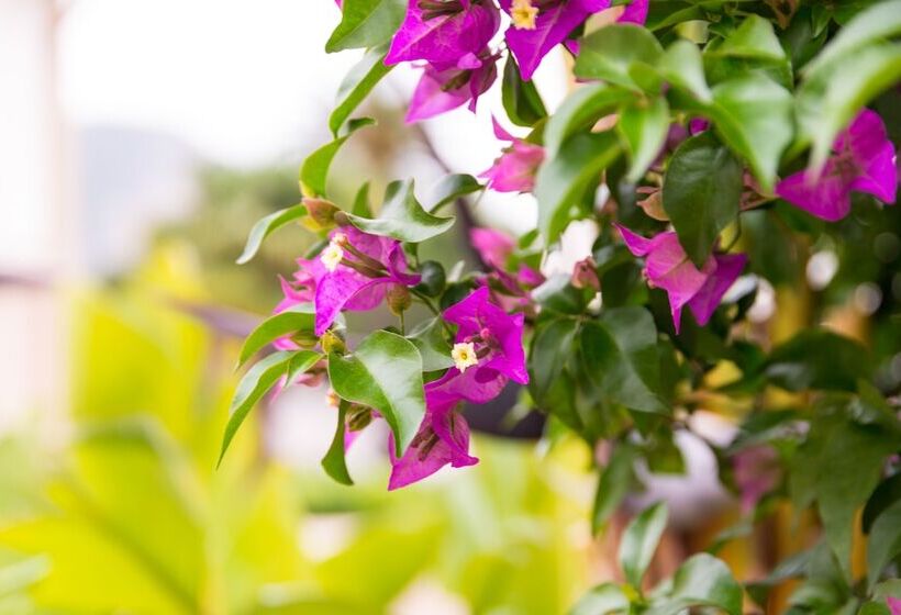 ホテル The Originals City, Hôtel Frisia, Beaulieusurmer