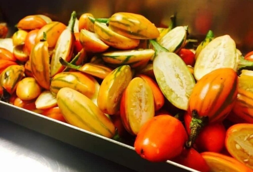 Logis Hotel Eden Lac