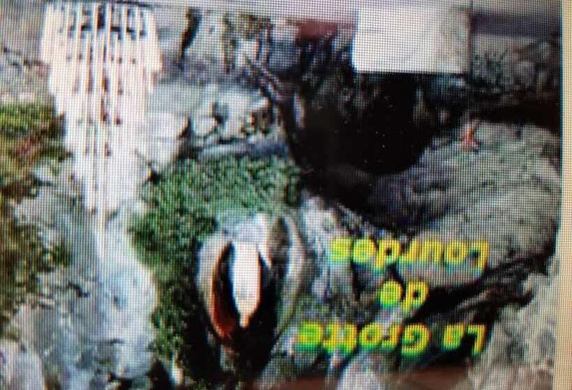 מוטל La Chaumière Du Bois