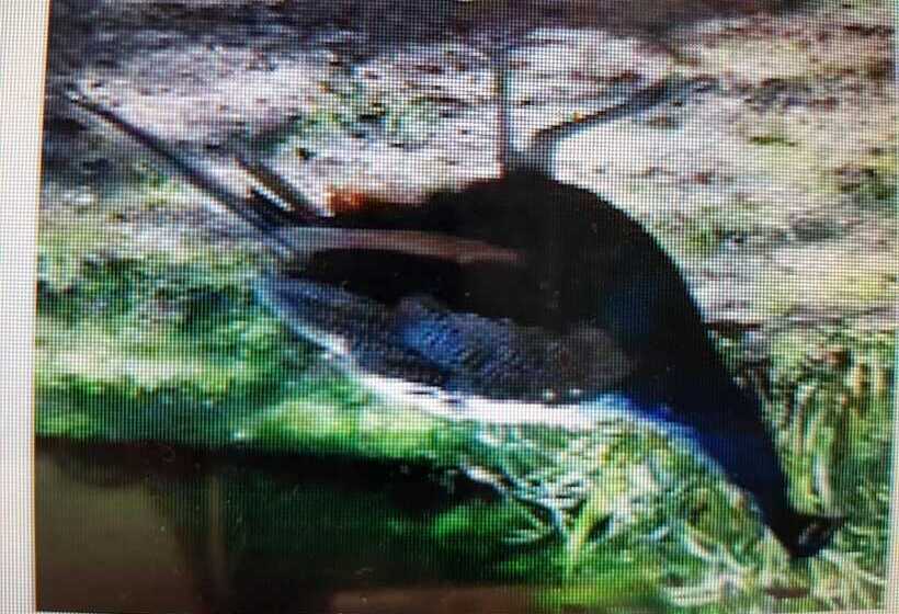 מוטל La Chaumière Du Bois