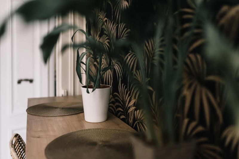 דירת נופש La Résidence