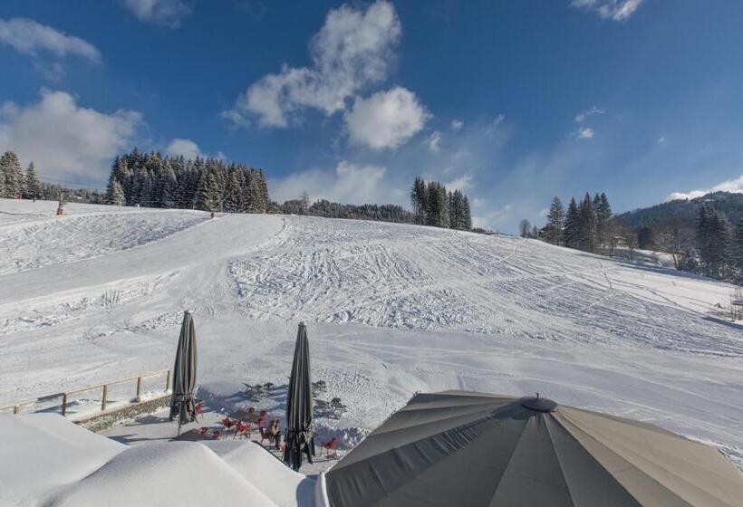 Chalet Hotel Crychar