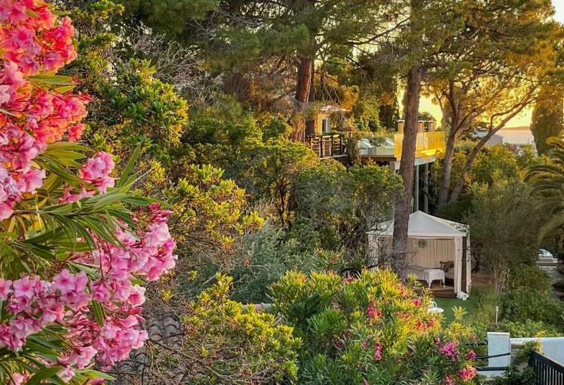 هتل A'mare Corsica - Seaside Small resort