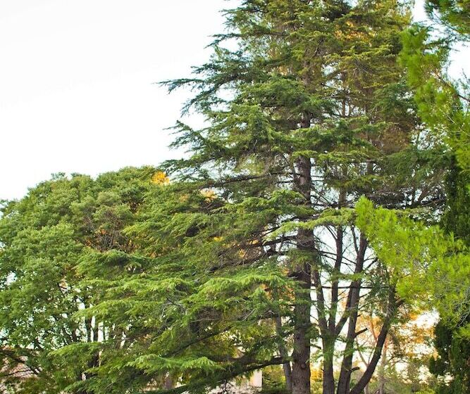 호텔 Best Western Le Val Majour