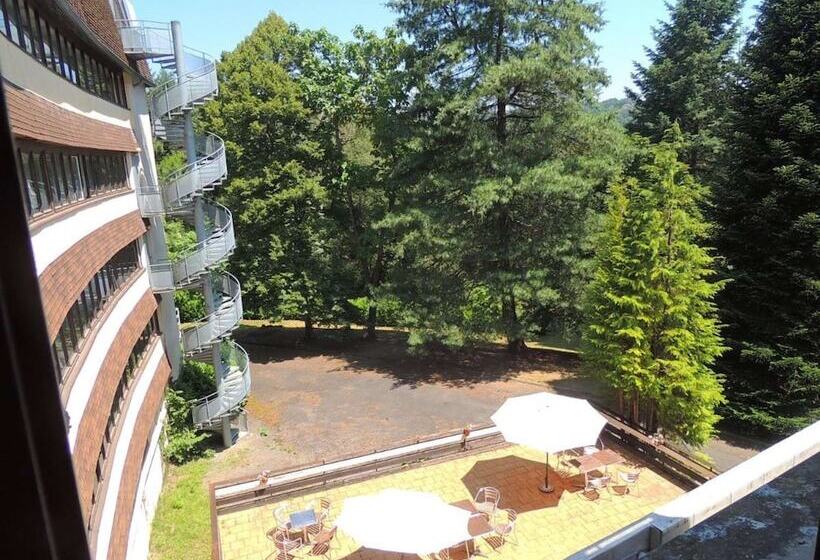 酒店 Du Laca   Capvern