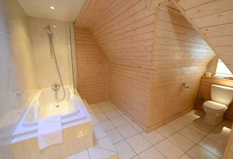 ホテル De L Europe Basel Mulhouse Airport