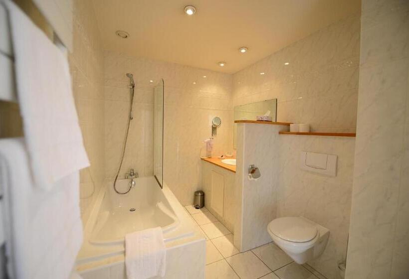 ホテル De L Europe Basel Mulhouse Airport