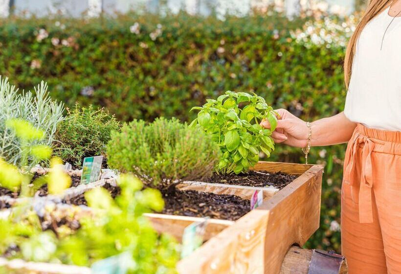 Greet Hotel Bordeaux Aeroport