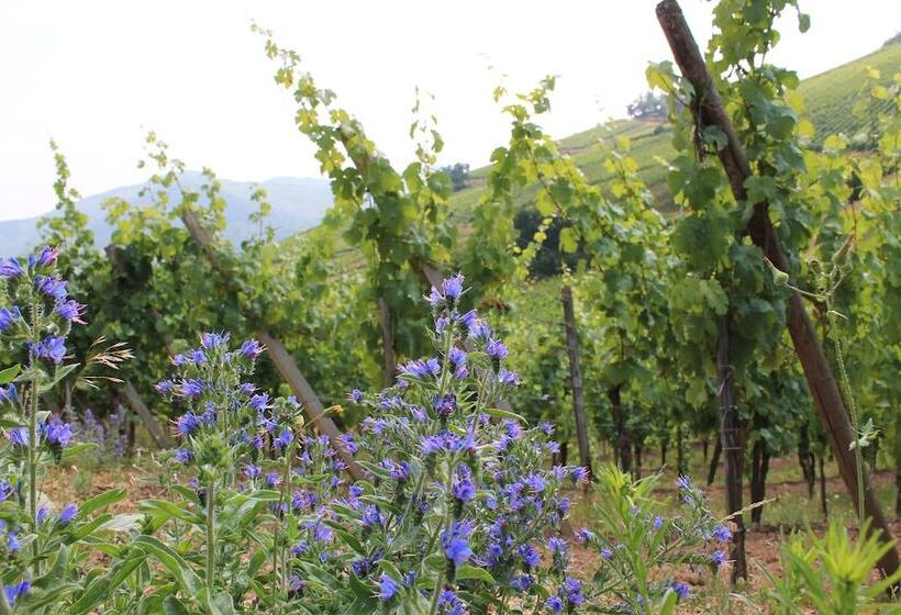 فندق Holiday Inn Express Strasbourg Sud, An Ihg