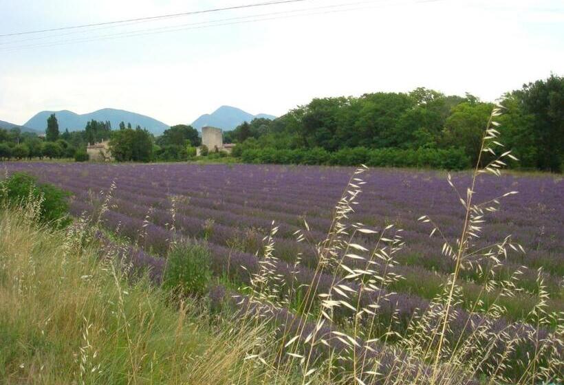 酒店 Hostellerie Le Beffroi