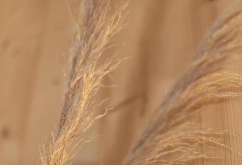 ホテル Le Sacca, Nouvelle équipe