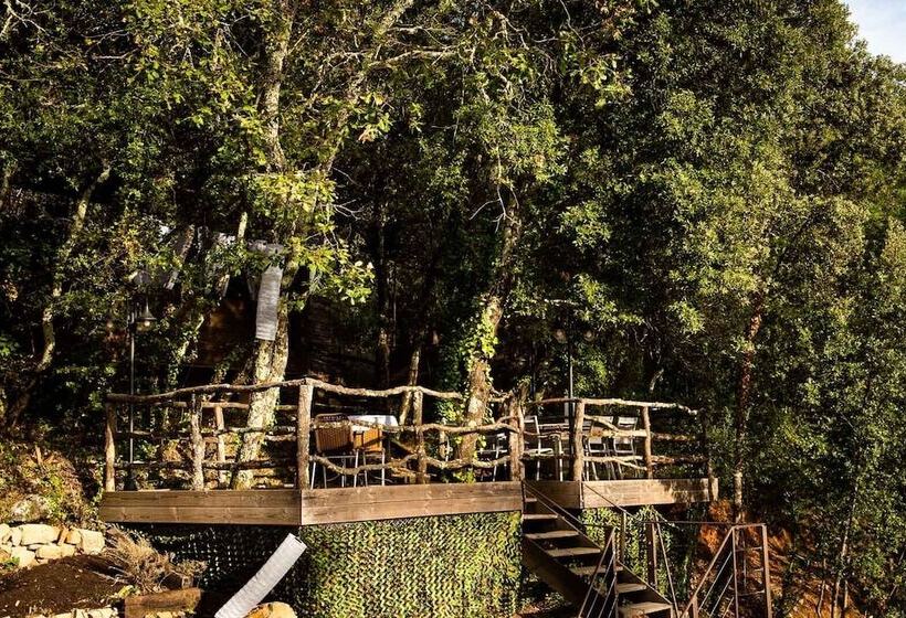 酒店 Hôtel Le Belvédère