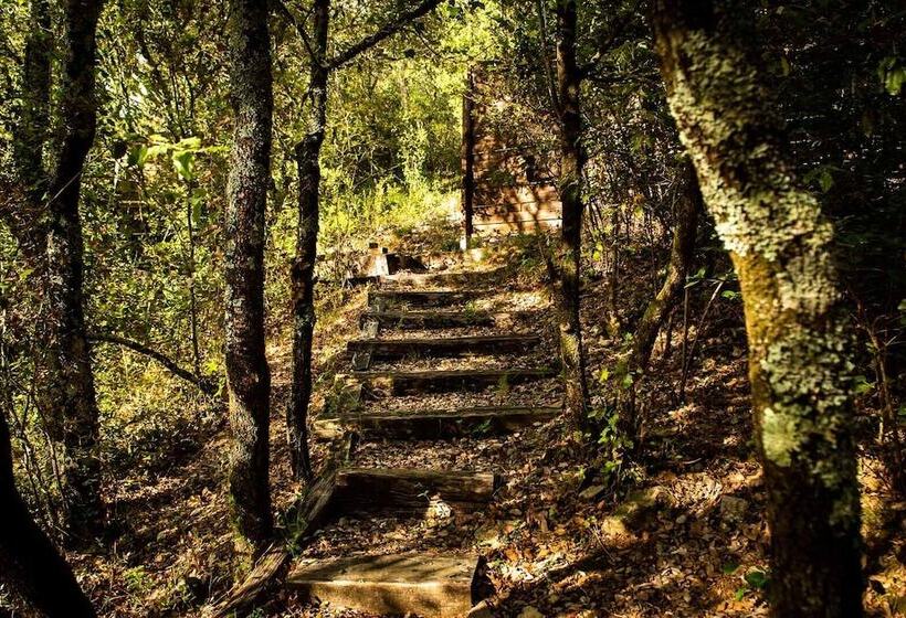 酒店 Hôtel Le Belvédère