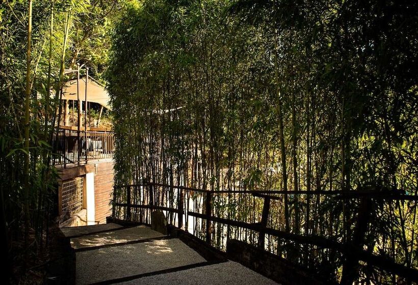 酒店 Hôtel Le Belvédère