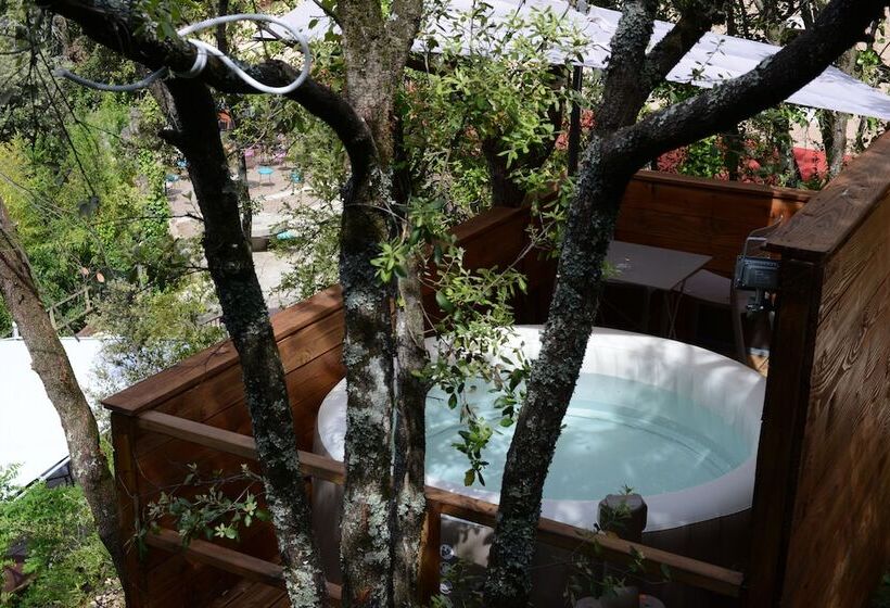 酒店 Hôtel Le Belvédère