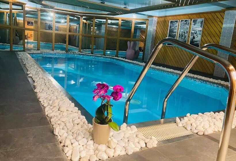 Отель Hôtel Le Labrador 1971