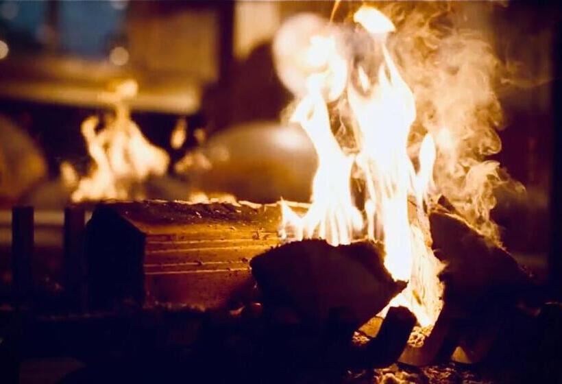 Отель Hôtel Le Labrador 1971