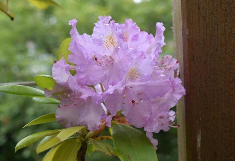 호텔 Hôtel Le Sauvage