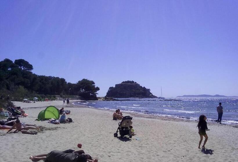 فندق Hôtel Les Palmiers