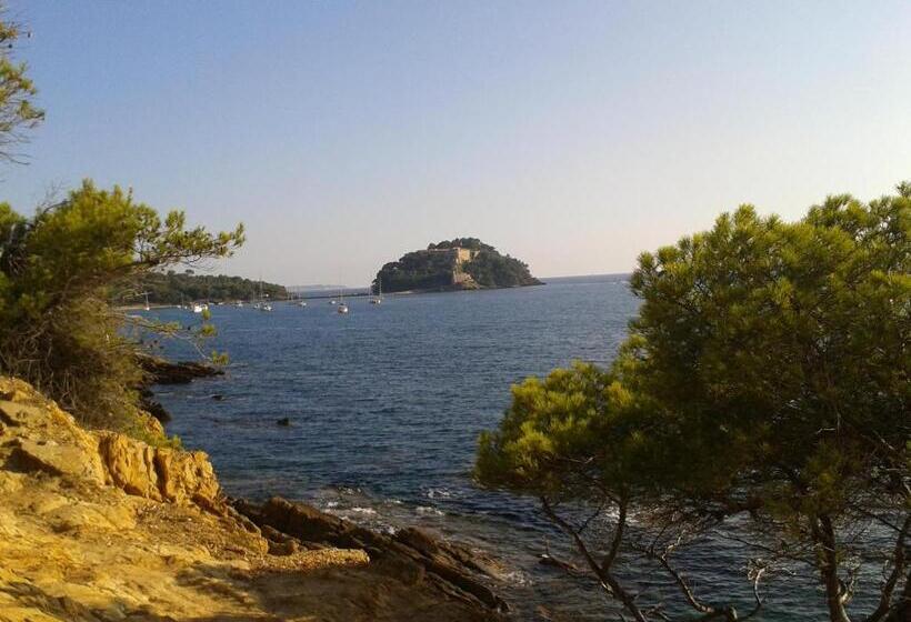 فندق Hôtel Les Palmiers