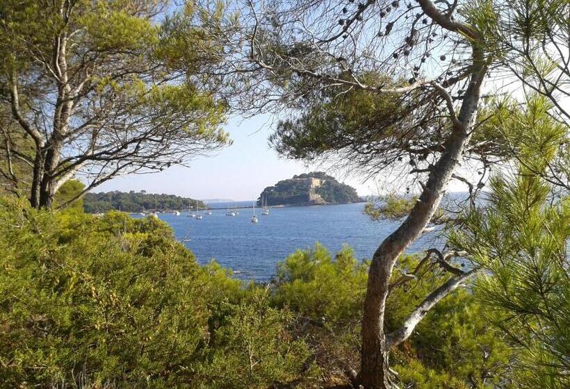 فندق Hôtel Les Palmiers