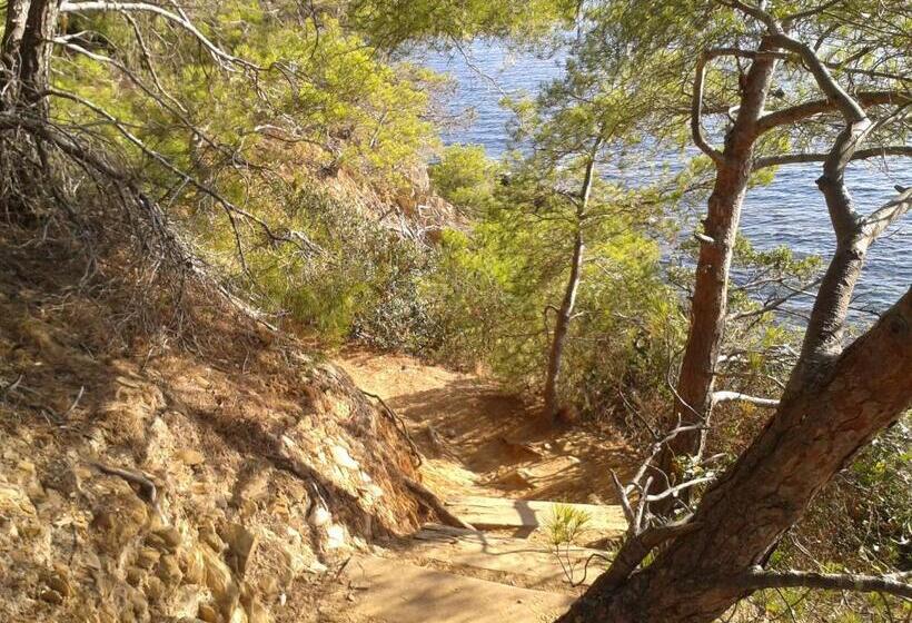 فندق Hôtel Les Palmiers