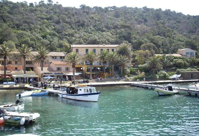 فندق Hôtel Les Palmiers