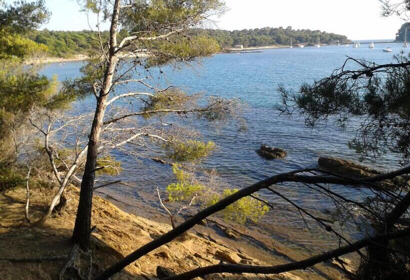 فندق Hôtel Les Palmiers