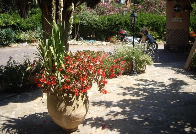 فندق Hôtel Les Palmiers